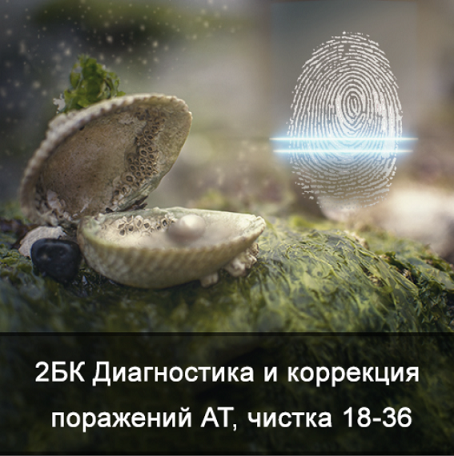 Ксения Меньшикова 2БК Диагностика и коррекция поражений АТ, чистка от 18 до 36 лет 2021 слив курса