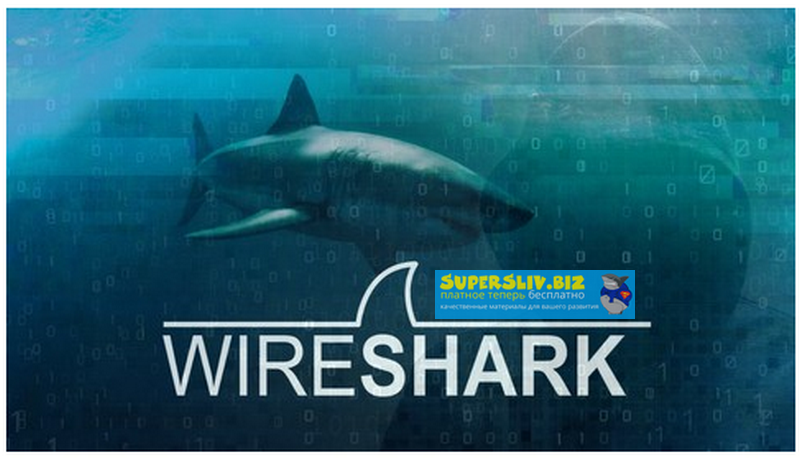 Udemy Wireshark: пакетный анализ и этический взлом: основные навыки 2019 слив курса