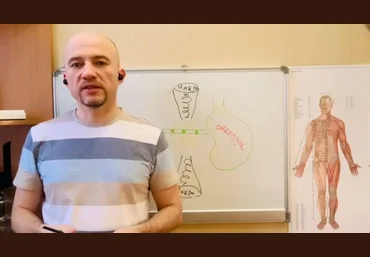 Максим Мальцев Доступная кинезиология II. Многомерный баланс человека 2022 слив