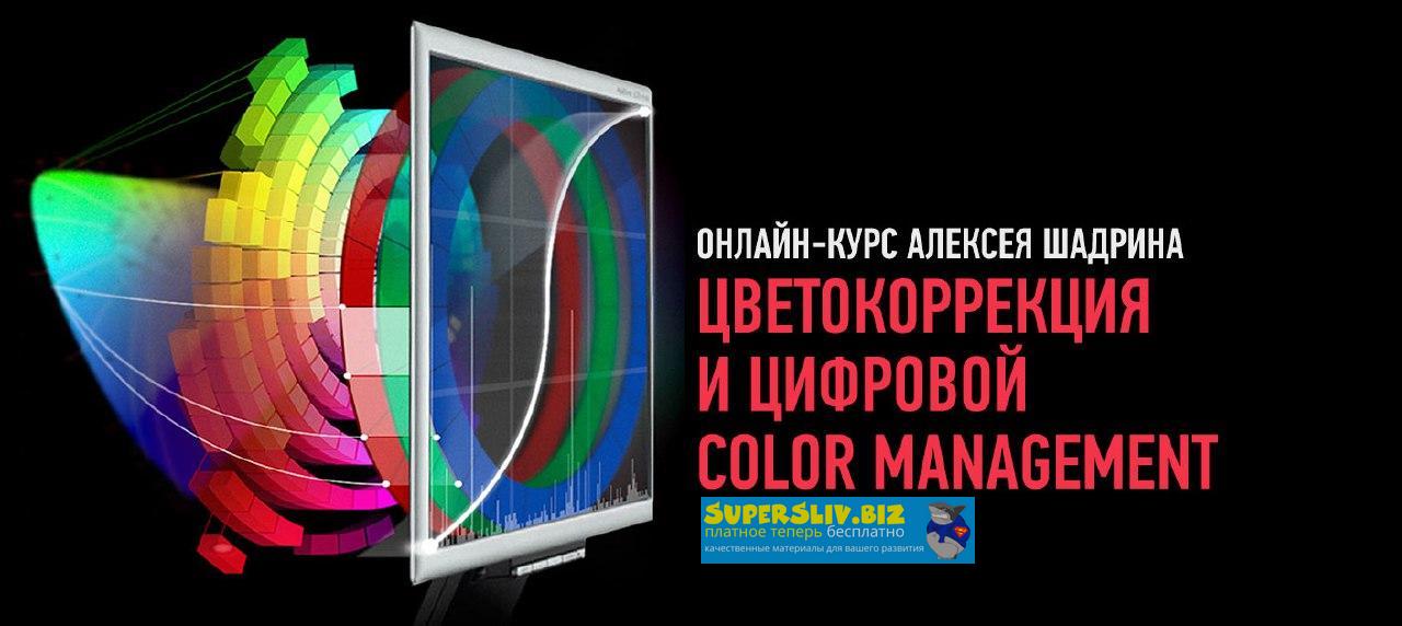 Алексей Шадрин Цветокоррекция и цифровой Color Management 2019 слив курса