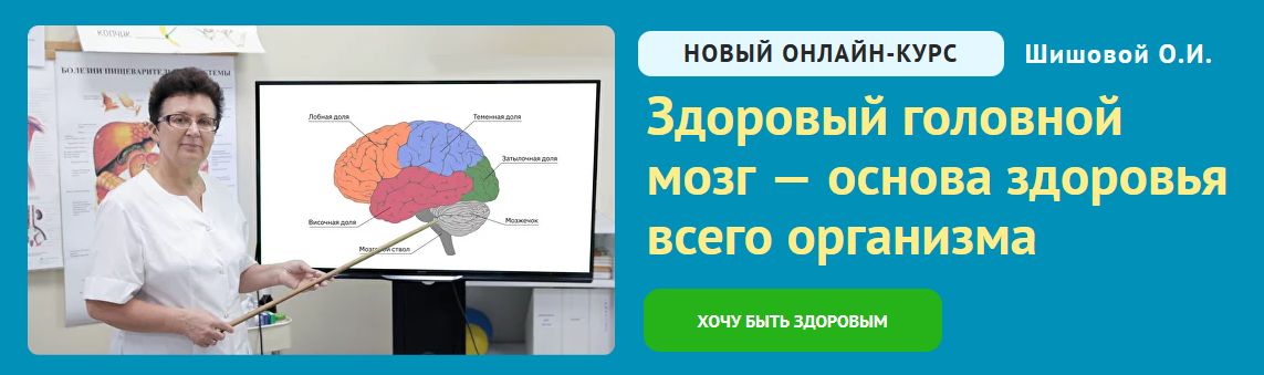 Ольга Шишова Здоровый головной мозг — основа здоровья всего организма 2024 слив курса