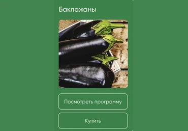 Школа нетипичного фермера Анна Акинина — Баклажаны 2024 слив