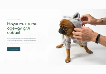 Антонина Баранова Pet Pants Шитье Конструирование и пошив одежды для домашних животных 2022 слив