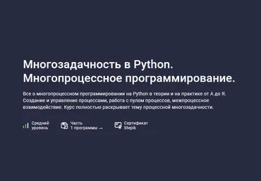 Шибаев Александр Stepik Многозадачность в Python. Многопроцессное программирование 2024 слив
