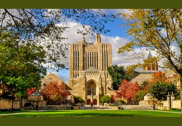 Yale University Введение в психологию. Лекции Йельского Университета Часть 3 из 10 слив