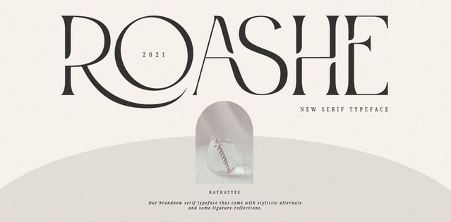 Myfonts Roashe Font 2021 слив курса