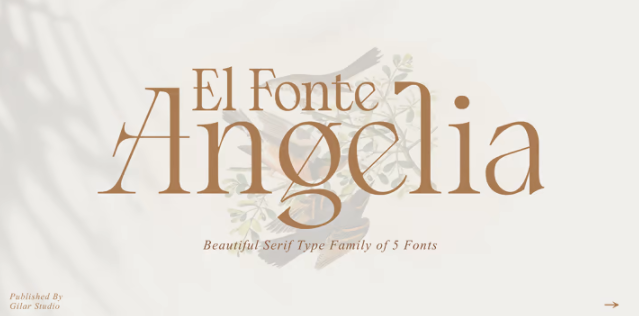 Myfonts El Fonte Angelia Font 2022 слив курса