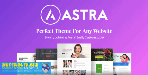 Astra+Astra Pro - Perfect Theme For Any Website + Pro Addon слив курса