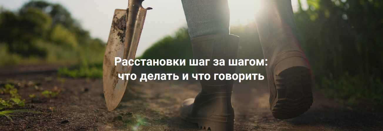 Елена Веселаго Расстановки шаг за шагом: что делать и что говорить. Без места расстановщика 2023 слив курса