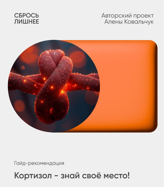 Алёна Ковальчук Кортизол - знай свое место 2025 слив курса