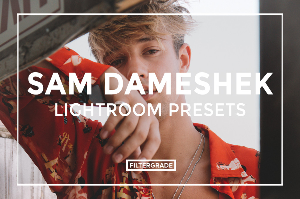 Пресеты от фотографа Sam Dameshek - Lightroom Presets слив курса