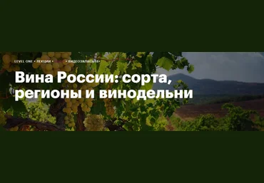 Level One Николай Дедин ― Вина России: сорта, регионы и винодельни 2024 слив
