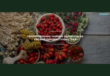 Сергей Апполонов Приготовление чайных напитков из свежих дикорастущих трав 2024 слив