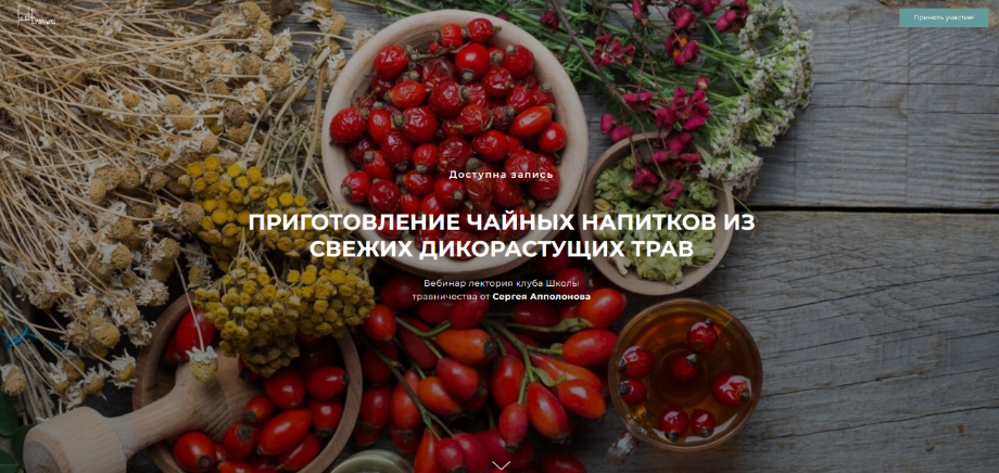 Сергей Апполонов Приготовление чайных напитков из свежих дикорастущих трав 2024 слив курса