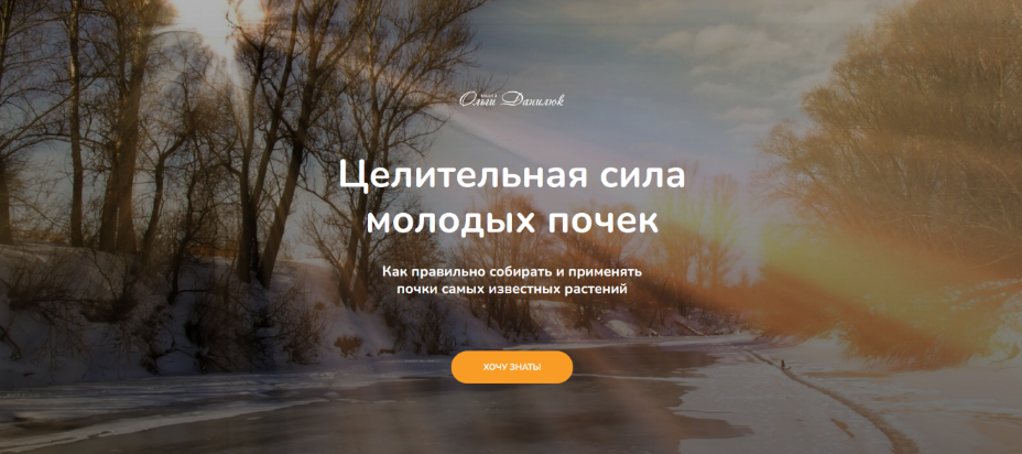 Ольга Данилюк Целительная сила молодых почек 2025 слив курса