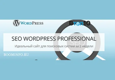 SEO WORDPRESS PROFESSIONAL 2018 Идеальный сайт для поисковых систем за 2 недели слив