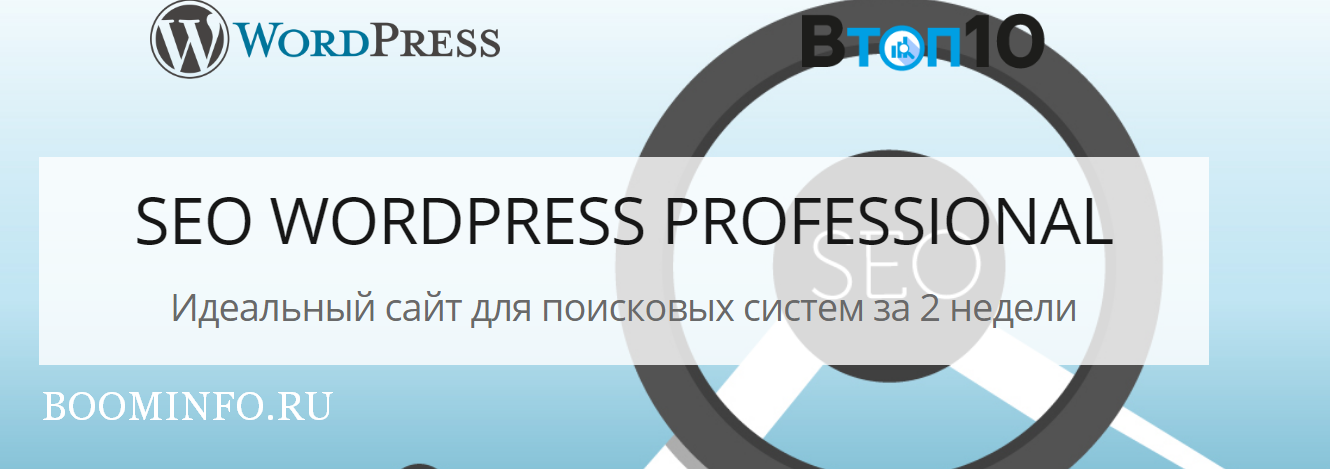 SEO WORDPRESS PROFESSIONAL 2018 Идеальный сайт для поисковых систем за 2 недели слив курса