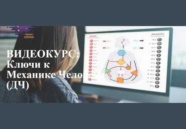 Ключи к механике человека факультатив - Ролева, Юрина 2018 слив