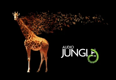 Шикарная подборка со стока AudioJungle. скачать слив