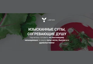 Яна Нетреба Labfood Курс по супам 2021 слив