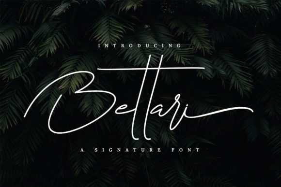Creativefabrica Bettari Font 2021 слив курса