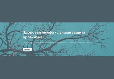 Светлана Калмыкова Здоровая лимфа - лучшая защита организма 2023 слив