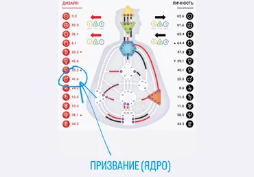 Дмитрий Богацкий Практикум «Призвание». Дизайн человека 2024 слив