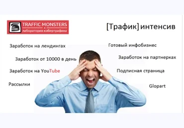 Traffic Monsters. Интенсив от Владимира Жукова слив
