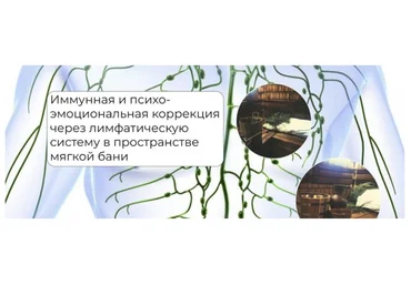 Никита Истомин Иммунная и психо-эмоциональная коррекция через лимфатическую систему в пространстве слив
