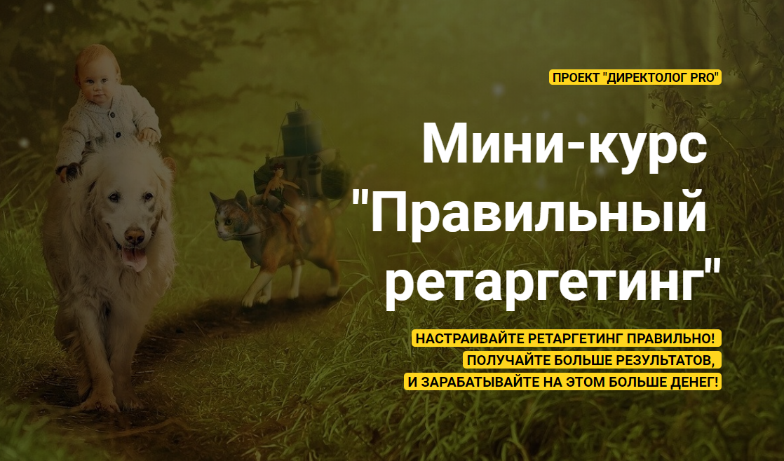 Михаил Сабанин Мини-курс «Правильный ретаргетинг» 2020 слив курса
