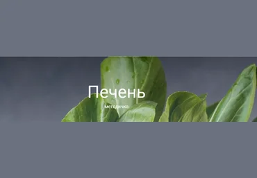 Валентина Жукова Методичка Печень + аналоги с российского рынка 2022 слив