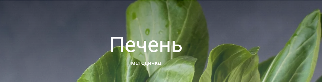 Валентина Жукова Методичка Печень + аналоги с российского рынка 2022 слив курса