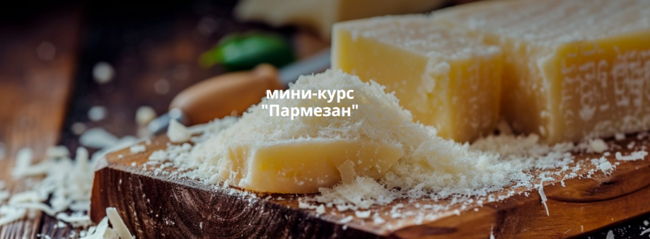 Ольга Лазарева СырДоДыр Пармезан 2025 слив курса