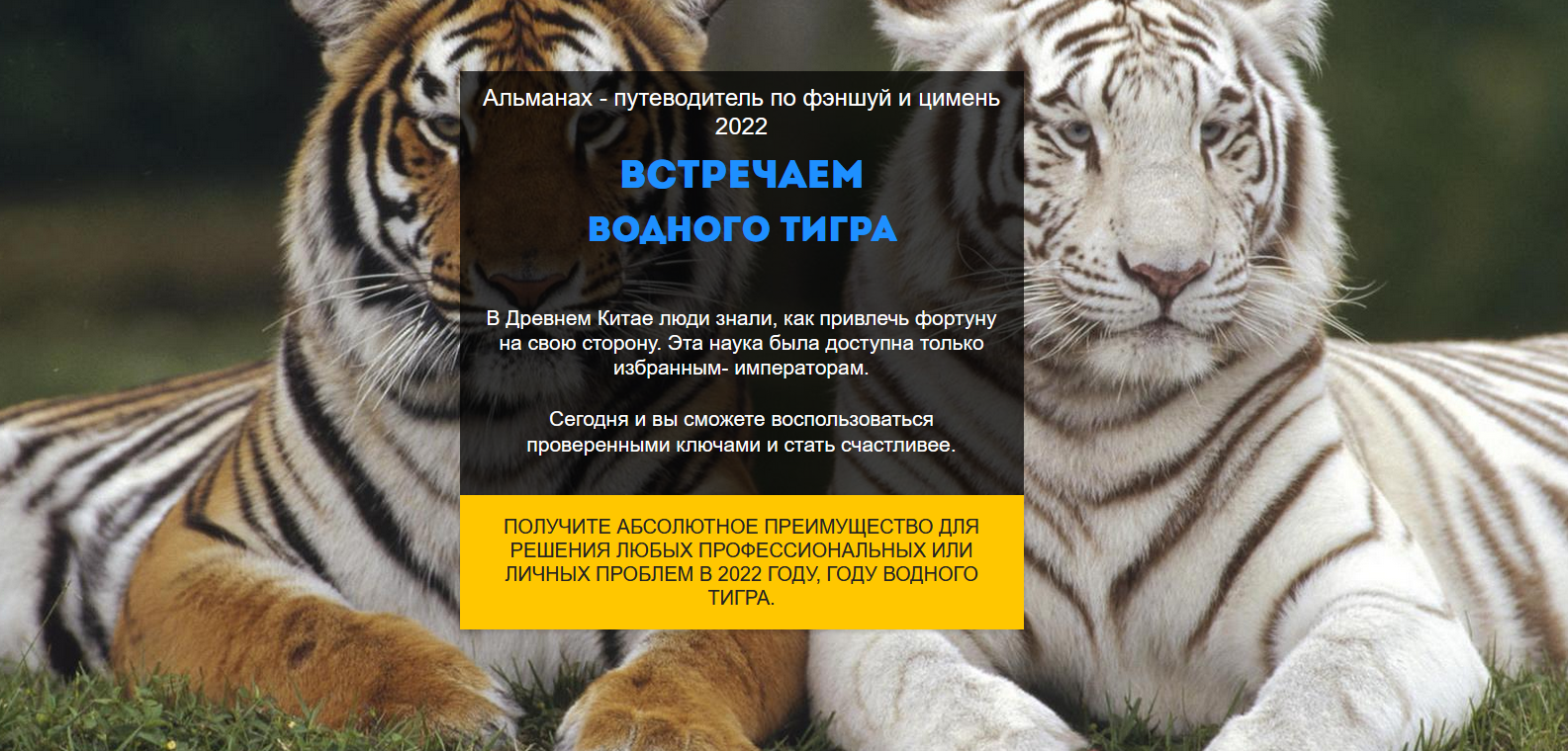 Нинель Смолина Путеводитель Фэншуй и Ци Мень по году Водного Тигра 2022 ВИП-версия 2021 слив курса