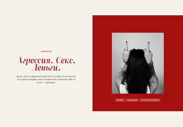Татьяна Фишер Агрессия. Секс. Деньги 2023 слив