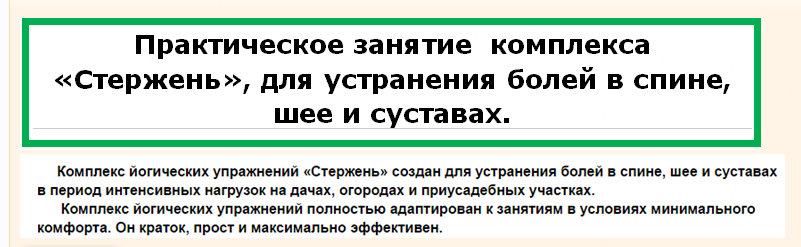 Стержень. Комплекс для устранения болей в спине, шее и суставах - Луганский 2016 слив курса