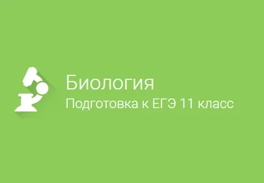 Фоксфорд Биология подготовка к ЕГЭ 11 класс скачать слив