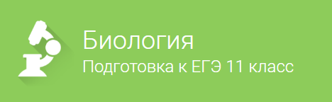 Фоксфорд Биология подготовка к ЕГЭ 11 класс слив курса