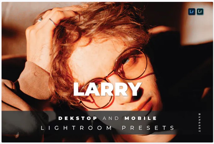 Elements.Envato Larry Desktop and Mobile Lightroom Preset 2021 слив курса
