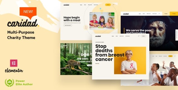Themeforest Caridad v2.1 NULLED - тема благотворительности WordPress 2021 слив курса