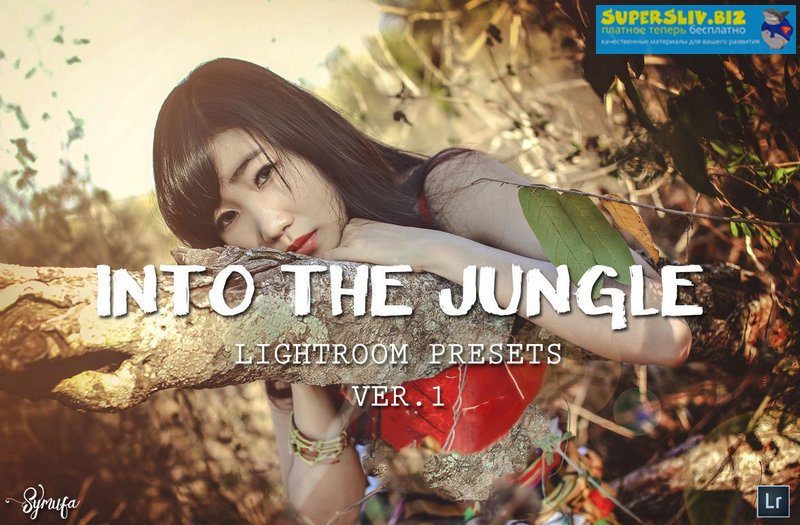 Creativemarket Into The Jungle Lightroom Presets 2019 слив курса