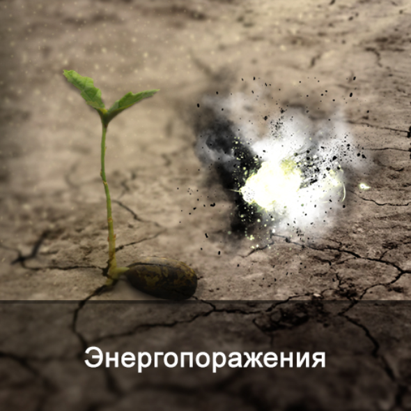 Ксения Меньшикова Энергопоражения. Диагностика, коррекция и предупреждение 2022 слив курса