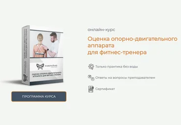 AnatomyStudy Андрей Богатырев ― Оценка опорно-двигательного аппарата для фитнес-тренера 2023 слив
