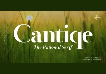 Myfonts Cantiqe Font 2021 слив