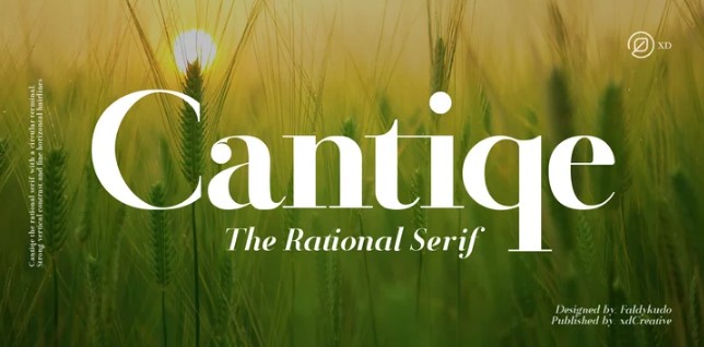 Myfonts Cantiqe Font 2021 слив курса