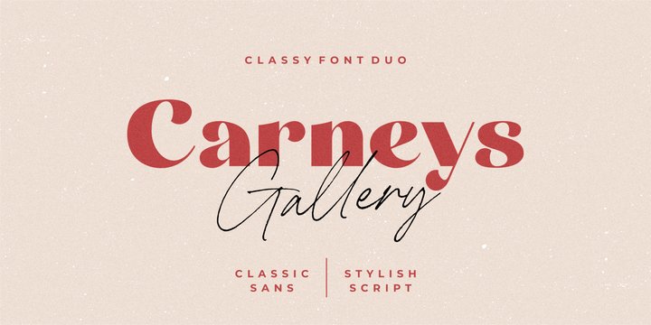 Myfonts Carneys Gallery Font слив курса