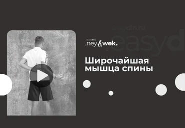 Сергей Оларь Нейвок. Широчайшая мышца спины 2024 слив