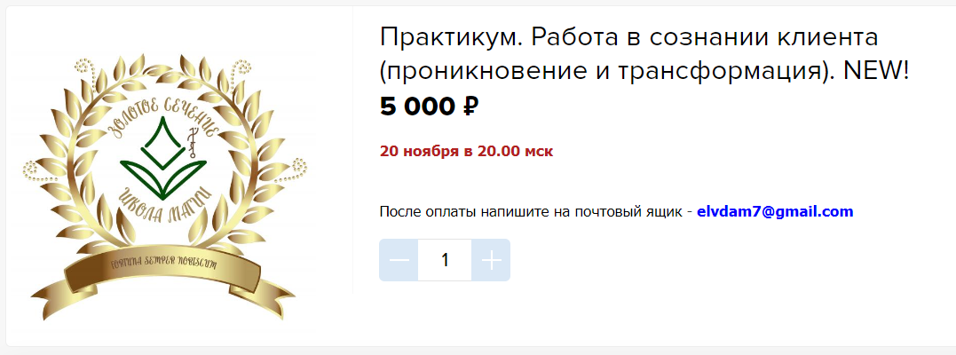 Велимира Практикум. Работа в сознании клиента 2023 слив курса