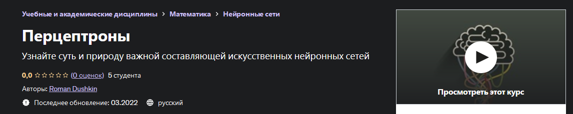 Roman Dushkin Udemy Перцептроны 2022 слив курса