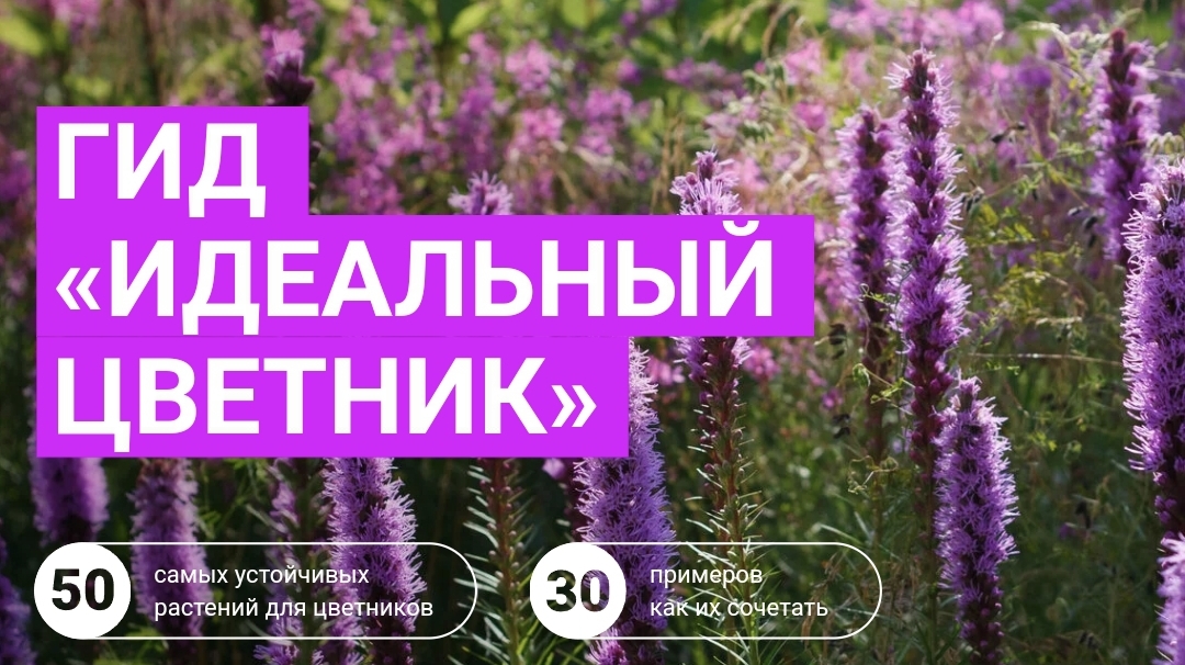 Марина Берестова Гид «Идеальный цветник» 2023 слив курса